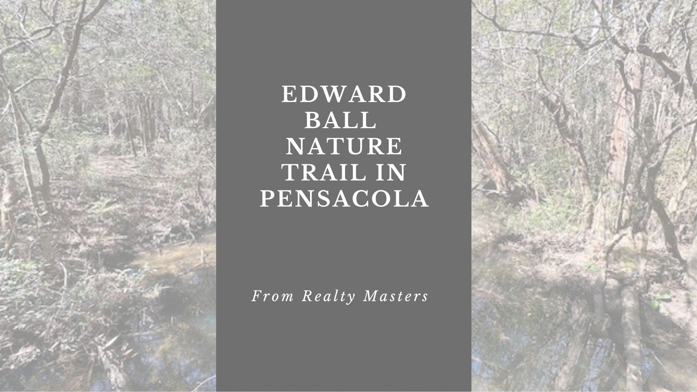 Exploring the Edward Ball Nature Trail at UWF